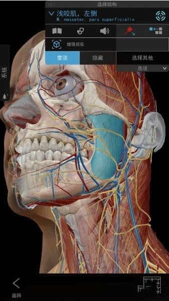 人體解剖學(xué)圖譜APP