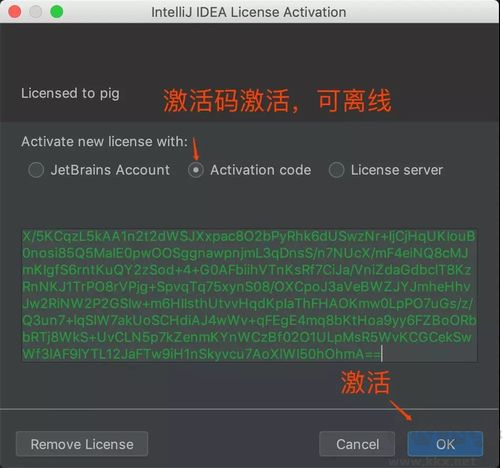 2020年IDEA永久激活教程(附IDEA激活碼)