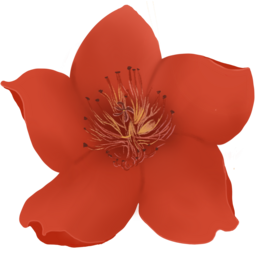 小紅花直播音效助手 v1.0綠色版