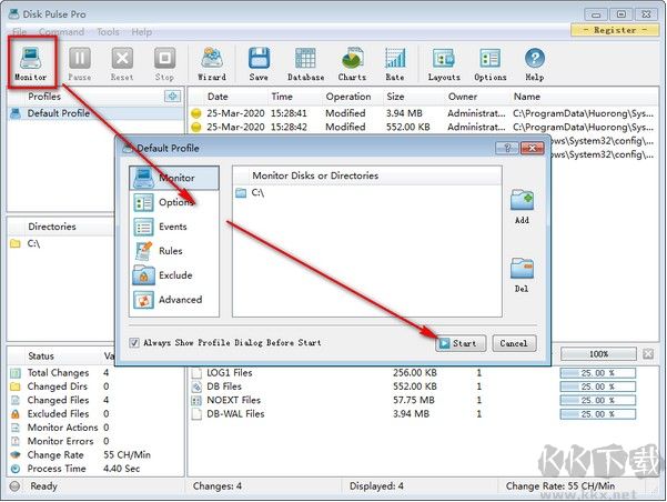 Disk Pulse Pro(磁盤監(jiān)測工具)