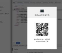 微信web開發(fā)者工具