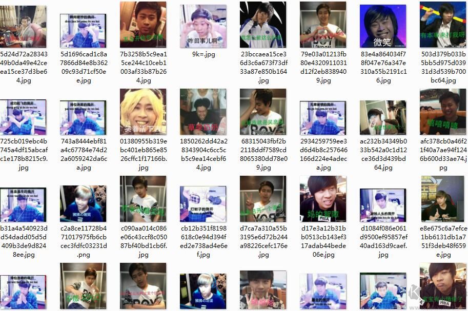 盧本偉表情包(搞怪,斗圖)