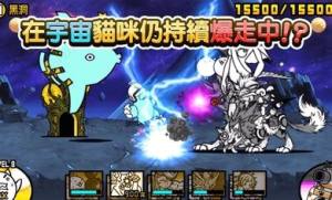 貓咪大戰(zhàn)爭2020