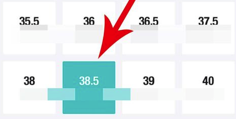 毒APP電腦版怎么賣鞋子