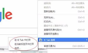 谷歌瀏覽器官方綠色版使用說明8