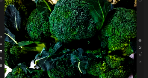 潑辣修圖網(wǎng)頁版怎么用