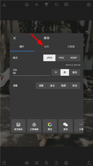 潑辣修圖網(wǎng)頁版怎么去水印