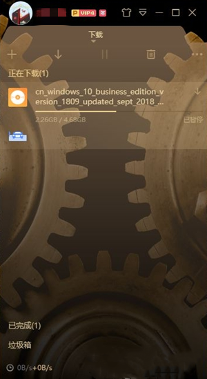 迅雷白金版軟件截圖