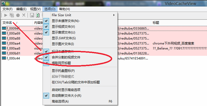 VideoCacheView(瀏覽器緩存提取器)