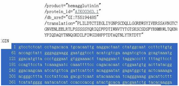 dnastar軟件打開基因序列方法1