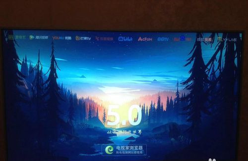 電視家瀏覽器怎么安裝到電視上