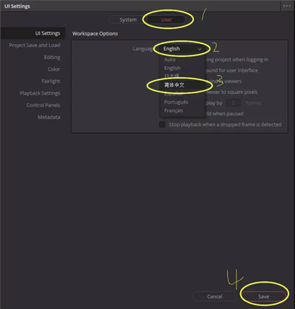 達(dá)芬奇調(diào)色軟件使用幫助3