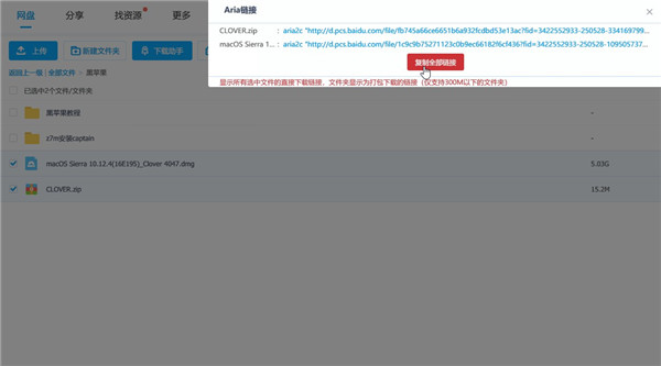 百度網(wǎng)盤直鏈下載助手軟件介紹