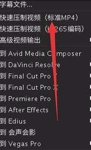 Arctime破解版怎么直接導出帶字幕的視頻