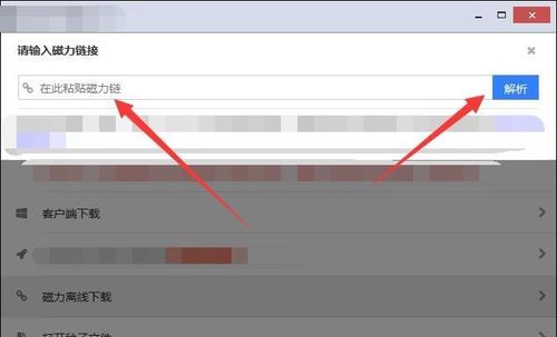 黑科下載器下載