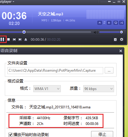 完美解碼綠色版使用說明14