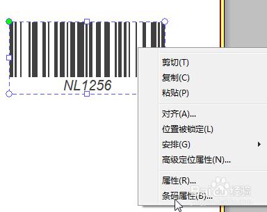 NiceLabel免費(fèi)版字符怎么調(diào)整