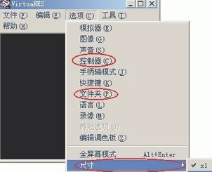 VirtuaNES漢化版怎么設(shè)置手柄