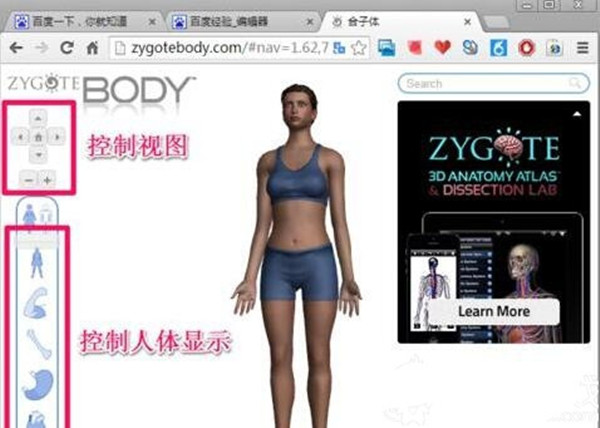 google人體瀏覽器截圖