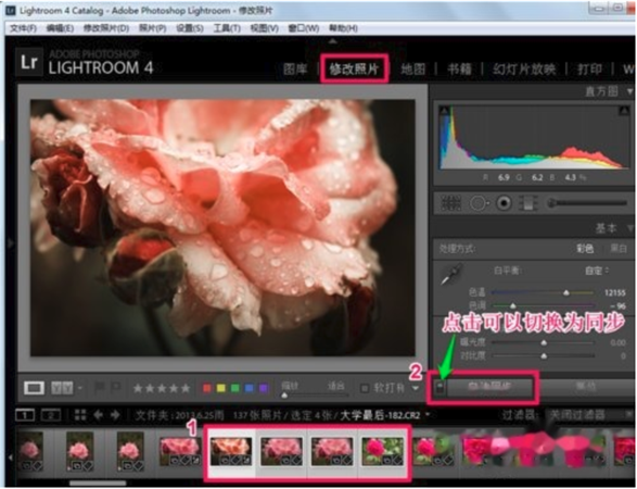 Lightroom2019使用幫助1
