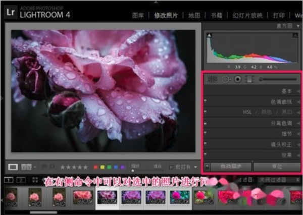 Lightroom2019使用幫助2