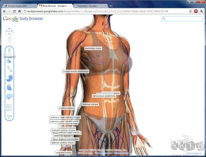谷歌Google人體瀏覽器中文版