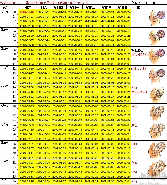 懷孕周期計(jì)算輔助表格