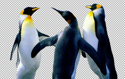 圖片工廠免費(fèi)破解版