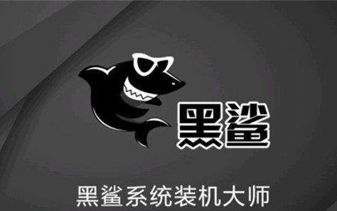 黑鯊裝機(jī)大師2021官方下載