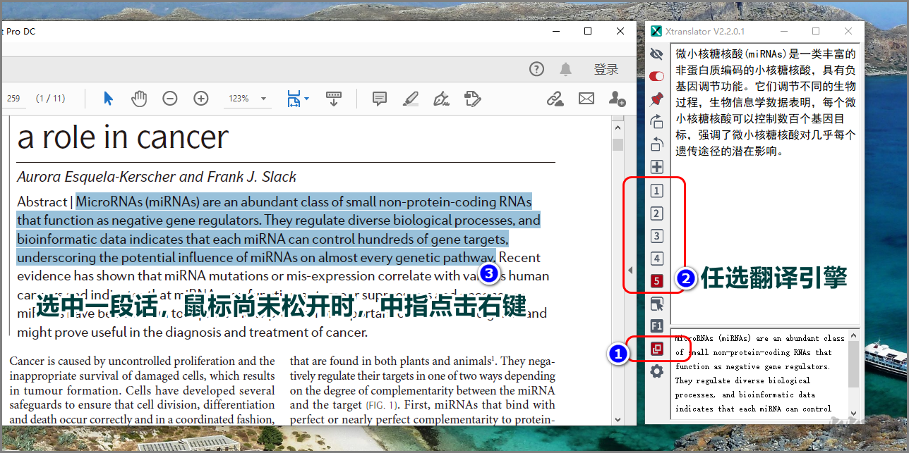 Xtranslator(文獻翻譯軟件)