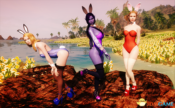 上古卷軸5兔女郎裝MOD