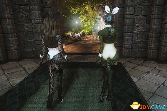 上古卷軸5兔女郎裝MOD