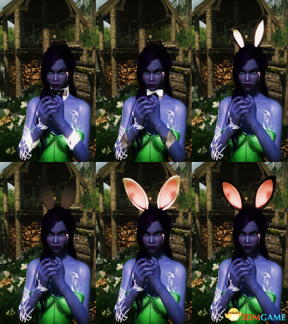 上古卷軸5兔女郎裝MOD