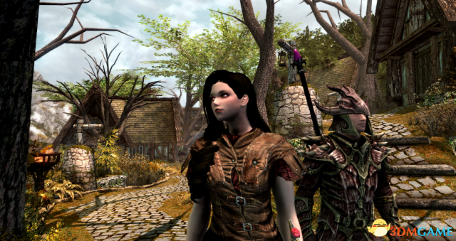 上古卷軸5重制版FairSkin女性NPC美化MOD