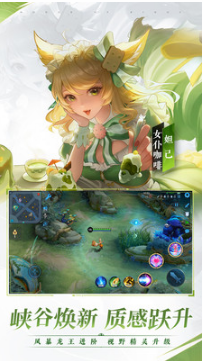 王者榮耀(全英雄皮膚)