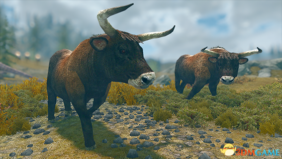 上古卷軸5天際歐洲原牛和野馬MOD