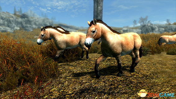 上古卷軸5天際歐洲原牛和野馬MOD