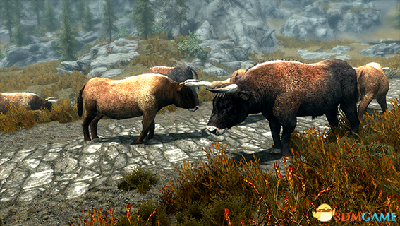 上古卷軸5天際歐洲原牛和野馬MOD