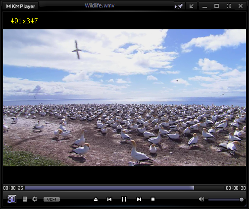 KMPlayer官網(wǎng)下載