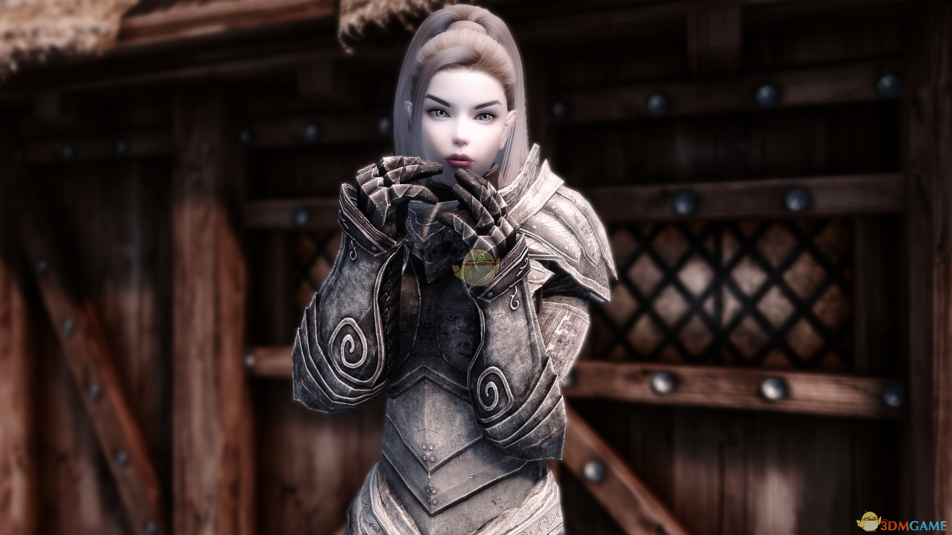 上古卷軸5天際重置版絕美雪精靈隨從MOD