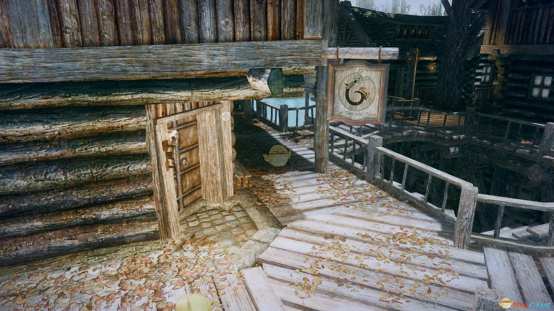 上古卷軸5天際金發(fā)銀發(fā)姐妹隨從MOD