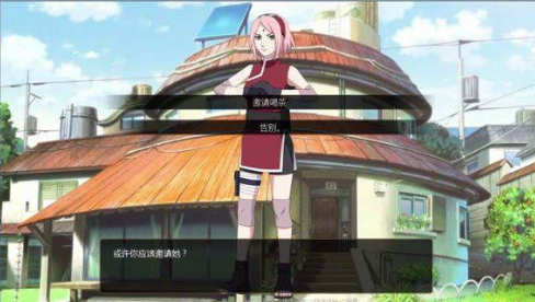 鳴人的假期無(wú)白屏