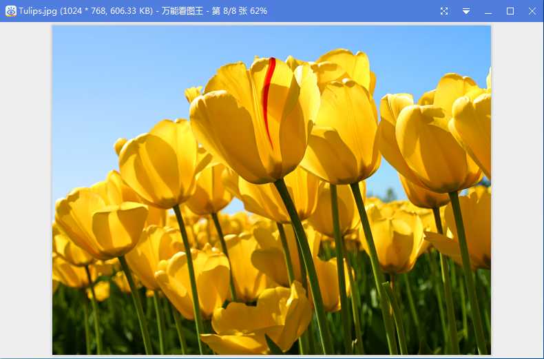 最好的看圖軟件下載