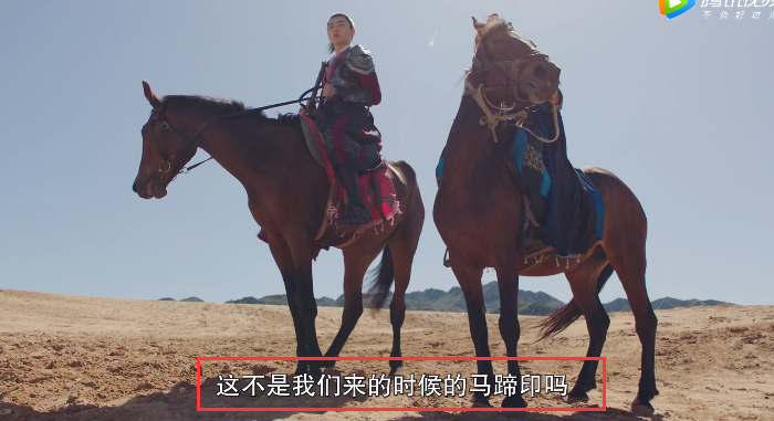 視頻取字幕神器