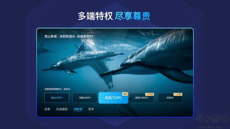 百度網(wǎng)盤TV APP