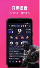 歡游(手游開黑)