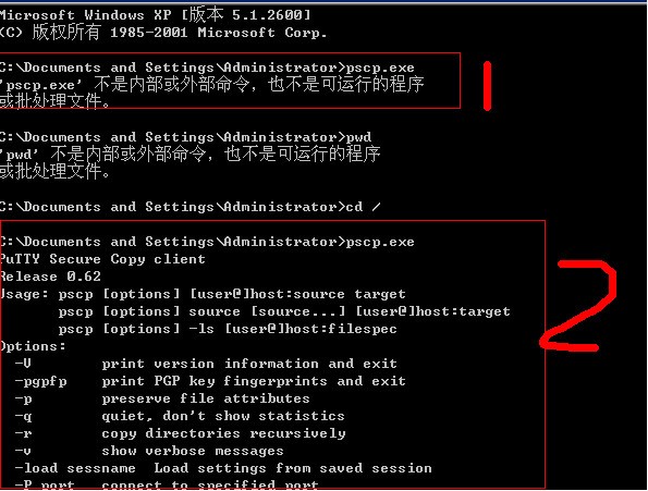 pscp.exe下載地址