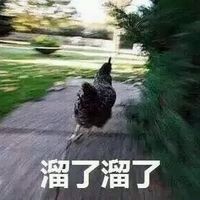 溜了溜了表情包下載