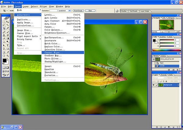 Photoshop精簡(jiǎn)版下載