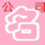 免費公司取名軟件 v18.5專業(yè)破解版